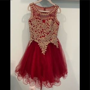 Cinderella Couture red embellished tulle dress